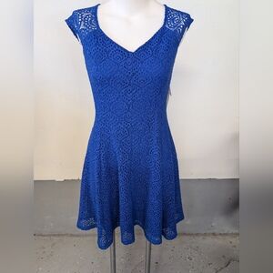 London Times Dress  Electric Blue Lace Knee Length Size 8 Petite NWT